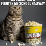 Why didn't i think of this | ME WHEN I SEE A FIGHT IN MY SCHOOL HALLWAY | image tagged in cat eating popcorn | made w/ Imgflip meme maker
