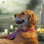 Dog on computer while world is being destroyed