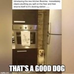 That's a Good Dog | THAT'S A GOOD DOG | image tagged in that's a good dog | made w/ Imgflip meme maker
