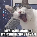 It just be like that sometimes | ME SINGING ALONG TO MY FAVORITE SONG AT 2 AM | image tagged in cat singing into microphone | made w/ Imgflip meme maker