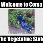 The state bird of frat row | Welcome to Coma; The Vegetative State | image tagged in license plate | made w/ Imgflip meme maker
