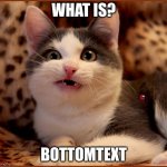 me no know | WHAT IS? BOTTOMTEXT | image tagged in confused cat | made w/ Imgflip meme maker
