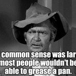 Common Sense | If common sense was lard,
most people wouldn't be
able to grease a pan. | image tagged in jed clampett,common sense | made w/ Imgflip meme maker