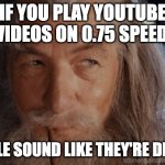 YouTube Slow | IF YOU PLAY YOUTUBE VIDEOS ON 0.75 SPEED, PEOPLE SOUND LIKE THEY'RE DRUNK. | image tagged in wise gandalf,drunk,fun | made w/ Imgflip meme maker