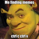 Shrek Sexy Face | Me finding memes; ctrl c ctrl v | image tagged in shrek,funny memes,relatable,relatable memes | made w/ Imgflip meme maker