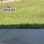 GRASS outside window