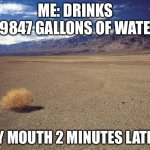 SO ANNOYING | ME: DRINKS 29847 GALLONS OF WATER; MY MOUTH 2 MINUTES LATER: | image tagged in desert tumbleweed,water | made w/ Imgflip meme maker