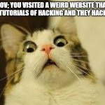 sorry of my bad english | POV; YOU VISITED A WEIRD WEBSITE THAT HAD TUTORIALS OF HACKING AND THEY HACK YOU | image tagged in shocked cat | made w/ Imgflip meme maker