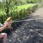 Man shooting a chicken.