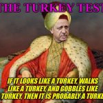 The turkey test | THE TURKEY TEST; IF IT LOOKS LIKE A TURKEY, WALKS LIKE A TURKEY, AND GOBBLES LIKE A TURKEY, THEN IT IS PROBABLY A TURKEY. | image tagged in sultan erdogan | made w/ Imgflip meme maker