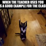 Ah, euphoria | WHEN THE TEACHER USES YOU AS A GOOD EXAMPLE FOR THE CLASS: | image tagged in yipeee cat | made w/ Imgflip meme maker