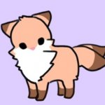 Cute fox looks at you weirdly