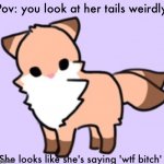 Cute fox looks at you weirdly | Pov: you look at her tails weirdly; She looks like she's saying 'wtf bitch' | image tagged in cute fox looks at you weirdly,cute fox | made w/ Imgflip meme maker