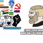 I don't know then | I DON'T EVEN KNOW WHAT HALF OF THEM MEAN | image tagged in average liberal vs chad outdated,memes,chad | made w/ Imgflip meme maker