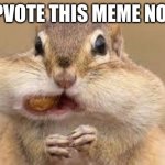 upvote NOW | UPVOTE THIS MEME NOW | image tagged in chipmunk | made w/ Imgflip meme maker