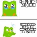 Duolingo | NO DUOLINGO AND DELETE; THREE DUOLINGO LESSONS TO KEEP YOUR FAMILY OUT OF PRISON | image tagged in duolingo drake meme | made w/ Imgflip meme maker