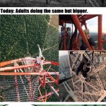 Climbing | image tagged in climbing | made w/ Imgflip meme maker
