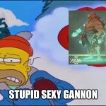 stupid sexy flanders full | STUPID SEXY GANNON | image tagged in stupid sexy flanders full | made w/ Imgflip meme maker