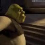 Shrek Being Attacked By Knights GIF Template