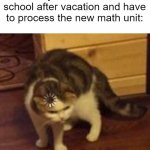 Error | when you come back to school after vacation and have to process the new math unit: | image tagged in thinking cat,cats,memes,meme_overload,funny | made w/ Imgflip meme maker