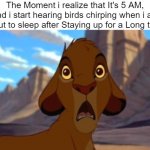 Staying up all night that much? | The Moment i realize that It's 5 AM, And i start hearing birds chirping when i am about to sleep after Staying up for a Long time: | image tagged in scared simba,sleep,relatable memes,so true memes,memes,funny | made w/ Imgflip meme maker