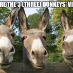 What are the 3 (three) donkeys' views on X