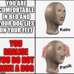 PANIK! | YOU ARE COMFORTABLE IN BED AND YOUR DOG LIES ON YOUR FEET; YOU REALISE YOU DO NOT HAVE A DOG | image tagged in calm panic | made w/ Imgflip meme maker