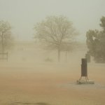 Windy dust storm