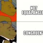 Fancy Winnie The Pooh Meme | NOT EQUAL ANGLES; CONGRUEN'T | image tagged in fancy winnie the pooh meme | made w/ Imgflip meme maker