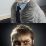 evil cat good cat