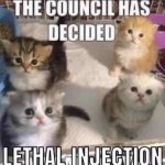 The council has decided lethal injection meme