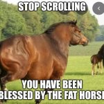 Fat Horse | STOP SCROLLING; YOU HAVE BEEN BLESSED BY THE FAT HORSE | image tagged in fat horse | made w/ Imgflip meme maker