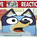 Live Bluey Reaction