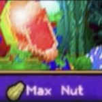 Max nut meme