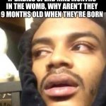 ??? | *HITS BLUNT*; IF BABIES SPEND NINE MONTHS IN THE WOMB, WHY AREN'T THEY 9 MONTHS OLD WHEN THEY'RE BORN | image tagged in hits blunt | made w/ Imgflip meme maker