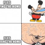 those damn flies | FLIES LEAVING THE HOME; FLIES ENTERING THE HOME | image tagged in big brain mokey,flies | made w/ Imgflip meme maker