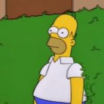 Homer Gif GIF Template