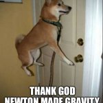 Doge Float | THANK GOD NEWTON MADE GRAVITY. | image tagged in doge float | made w/ Imgflip meme maker