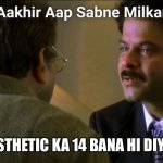 Aakhir aap sabne milkar | ASTHETIC KA 14 BANA HI DIYA | image tagged in aakhir aap sabne milkar | made w/ Imgflip meme maker