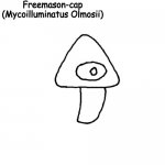 Freemason-cap