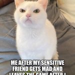 ):< | ME AFTER MY SENSITIVE FRIEND GETS MAD AND LEAVES THE GAME AFTER I ASK HIM WHY HE DIDN'T HELP ME | image tagged in mad kitty | made w/ Imgflip meme maker