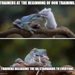 QA SUCKS!! | TRAINERS AT THE BEGINNING OF OUR TRAINING. TRAINERS RELEASING THE QA STANDARDS TO EVERYONE. | image tagged in frog and mouse | made w/ Imgflip meme maker