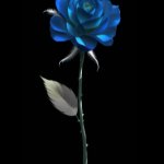 Blue rose template