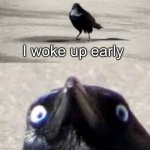 Bad Luck Bird | I woke up early; There wasn’t a worm | image tagged in it would be a shame bird,memes | made w/ Imgflip meme maker