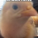 Chicken sideye | ME WHEN TIKTOK | image tagged in chicken sideye,antitiktok | made w/ Imgflip meme maker