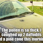 Spring In the South | The pollen is so thick, I
coughed up 2 daffodils
and a pine cone this morning. | image tagged in pollen covered car,allergies | made w/ Imgflip meme maker