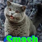 Cat Smash