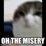 Oh the misery | OH THE MISERY | image tagged in gifs,cat | made w/ Imgflip video-to-gif maker