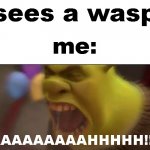 i immediately get frighted of seeing a wasp right next to me and starts chasing me | sees a wasp; me:; AAAAAAAAAAHHHHH!!!!!! | image tagged in shrek screaming,wasp | made w/ Imgflip meme maker