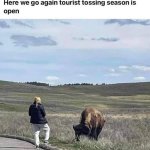 Bison Tossing Karen's